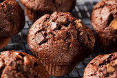 Keto/Low Carb/Gluten Free double chocolate chip Muffins
